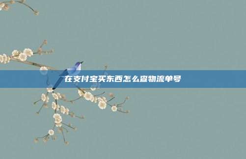 在支付宝买东西怎么查物流单号