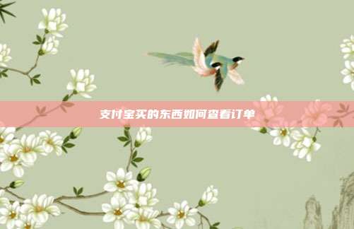 支付宝买的东西如何查看订单