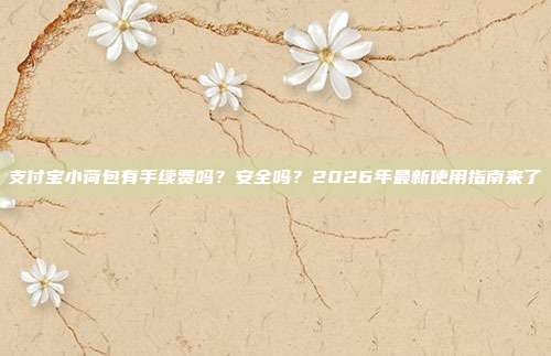 支付宝小荷包有手续费吗？安全吗？2026年最新使用指南来了