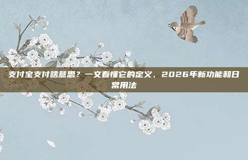 支付宝支付啥意思？一文看懂它的定义、2026年新功能和日常用法