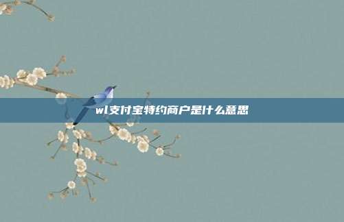 wl支付宝特约商户是什么意思
