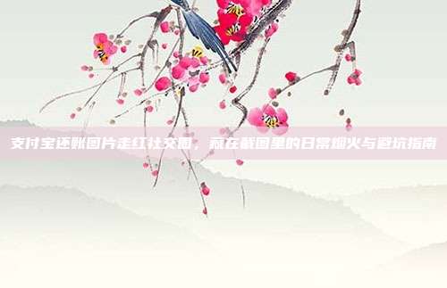 支付宝还账图片走红社交圈，藏在截图里的日常烟火与避坑指南