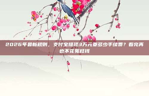 2026年最新规则,支付宝提现3万元要多少手续费?看完再也不花冤枉钱