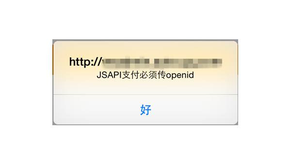 jsapi支付什么意思